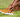 What Can Cause Bunions? Ask a Podiatrist