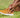What Can Cause Bunions? Ask a Podiatrist